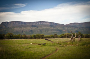 Гостиница Boschfontein Guest Farm  Тхабазимби